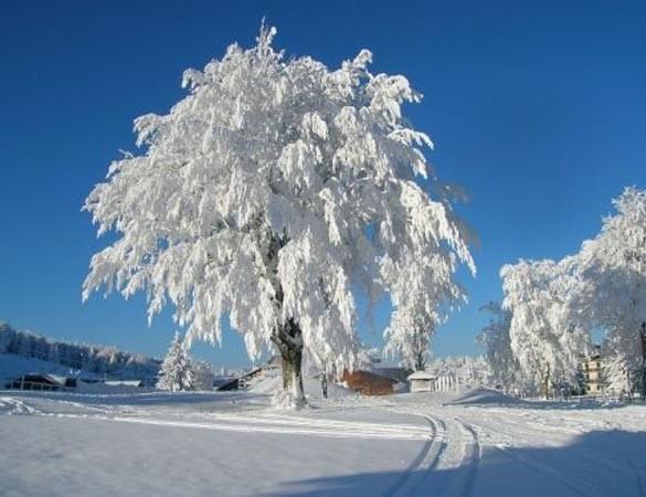 Appartamenti Dolomiti موينا المظهر الخارجي الصورة