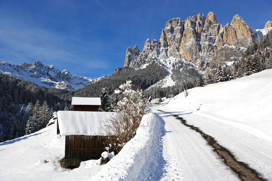 Appartamenti Dolomiti موينا المظهر الخارجي الصورة